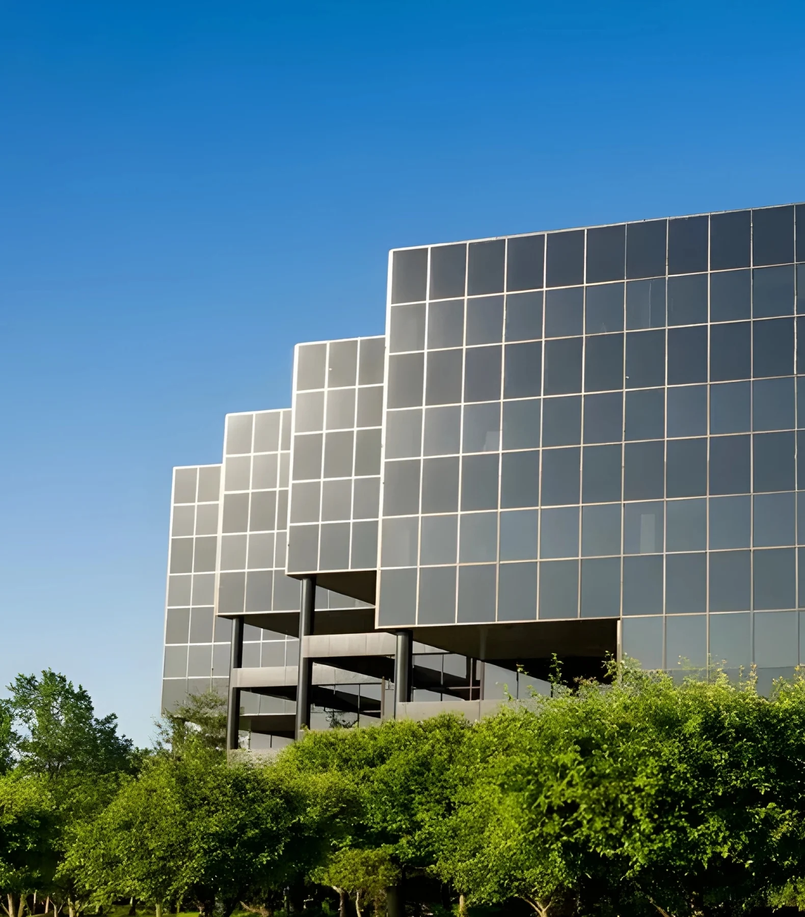 Turtle headquarters building