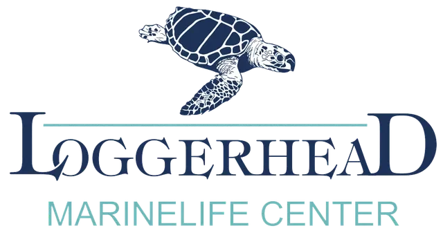 Loggerhead Marinelife Center Logo with illustration of Turtle